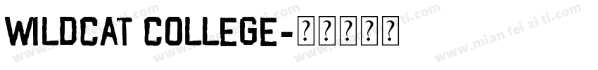Wildcat College字体转换